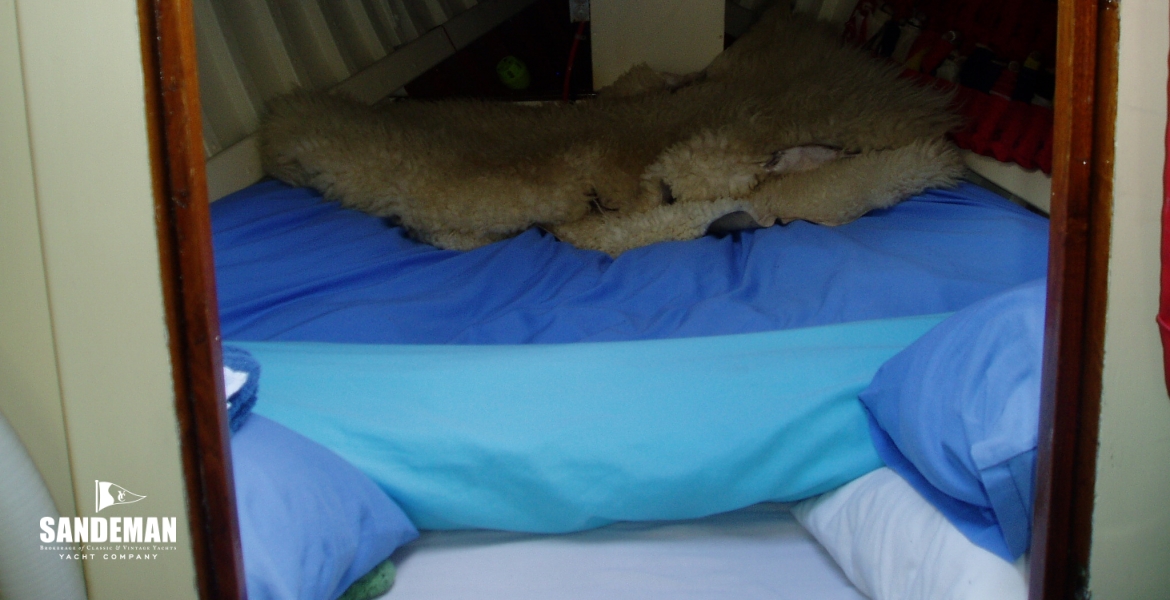 P1010233.JPG