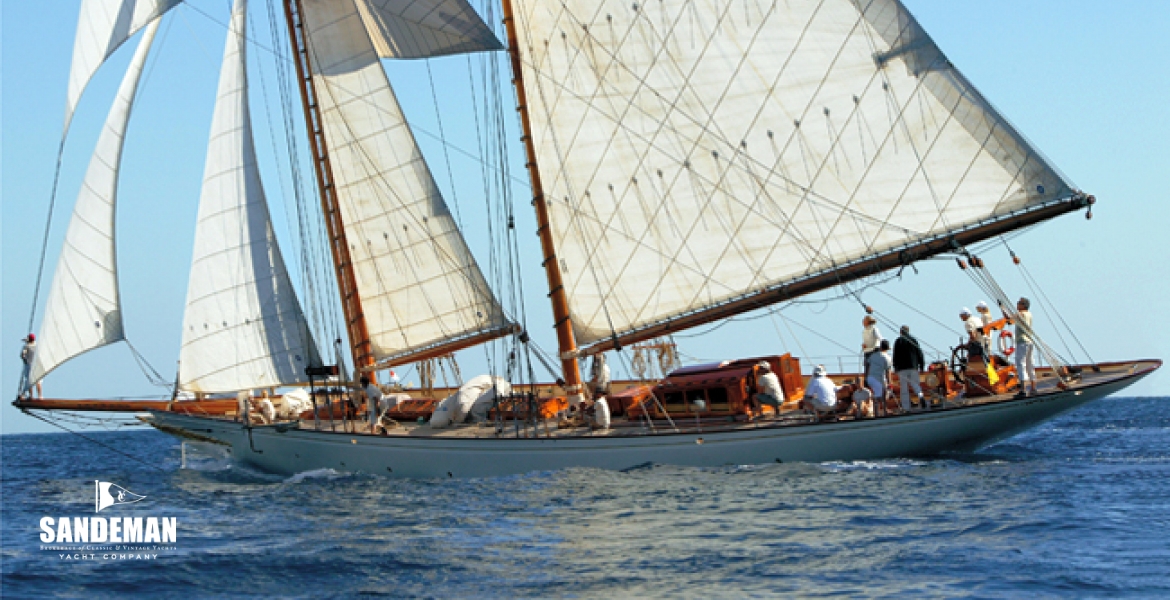 SUNSHINEwoodweb7.jpg