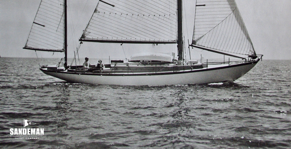 LaughingGull1949.jpg