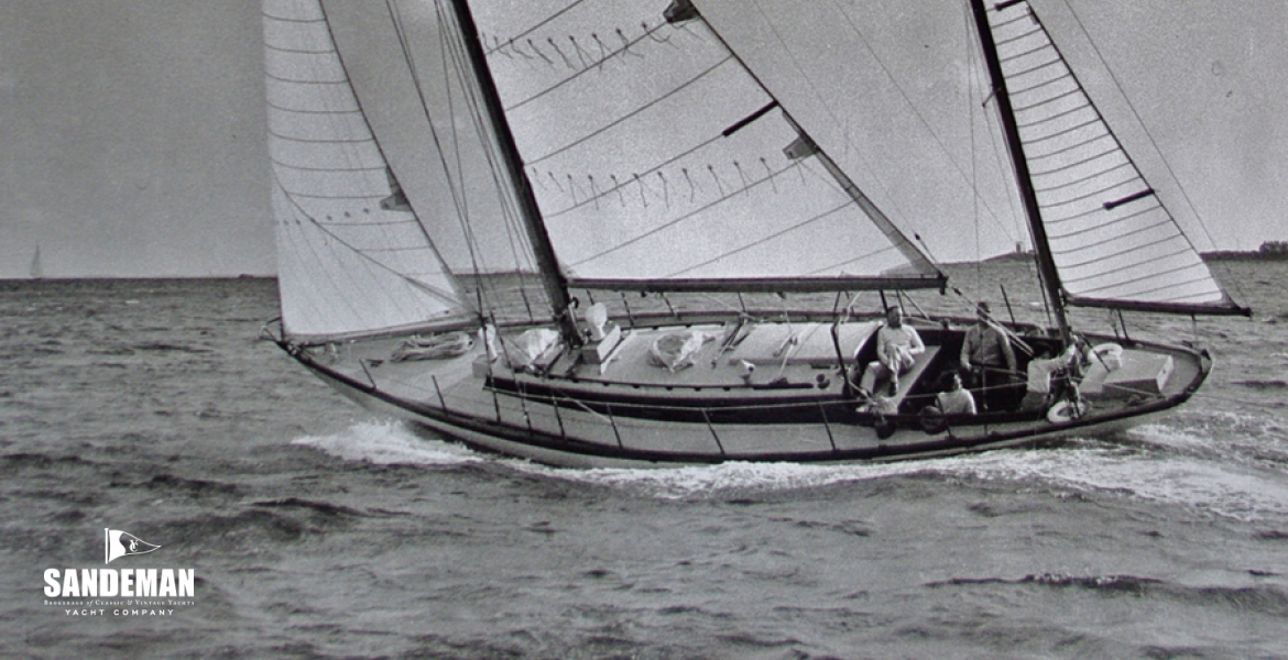 LaughingGullRosenfeld1949.jpg