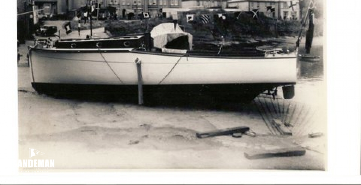 White Rose 1936
