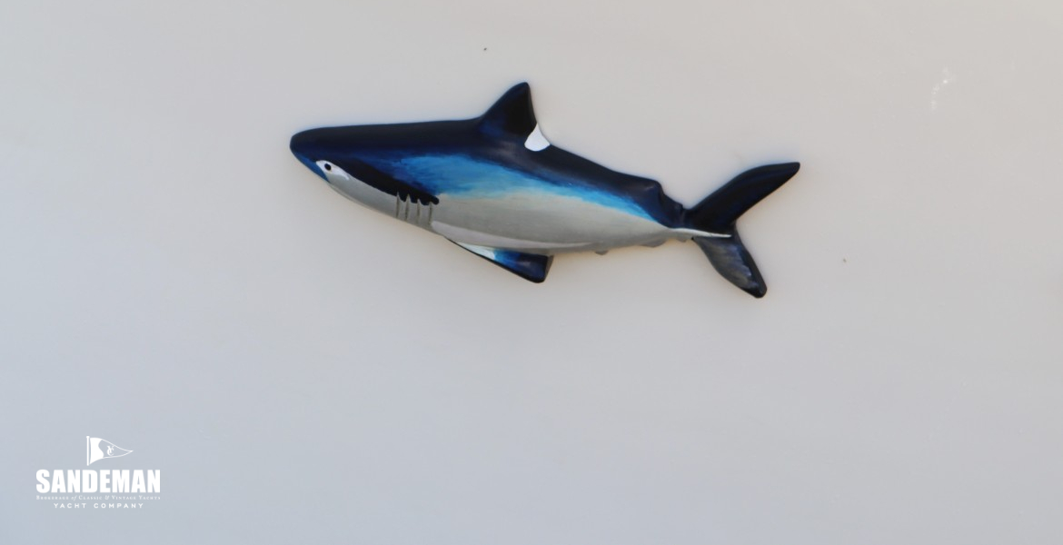Porbeagle