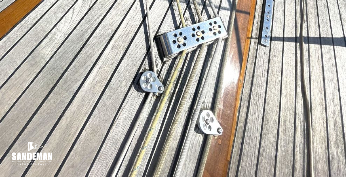 Mid and forward trunk view forwards