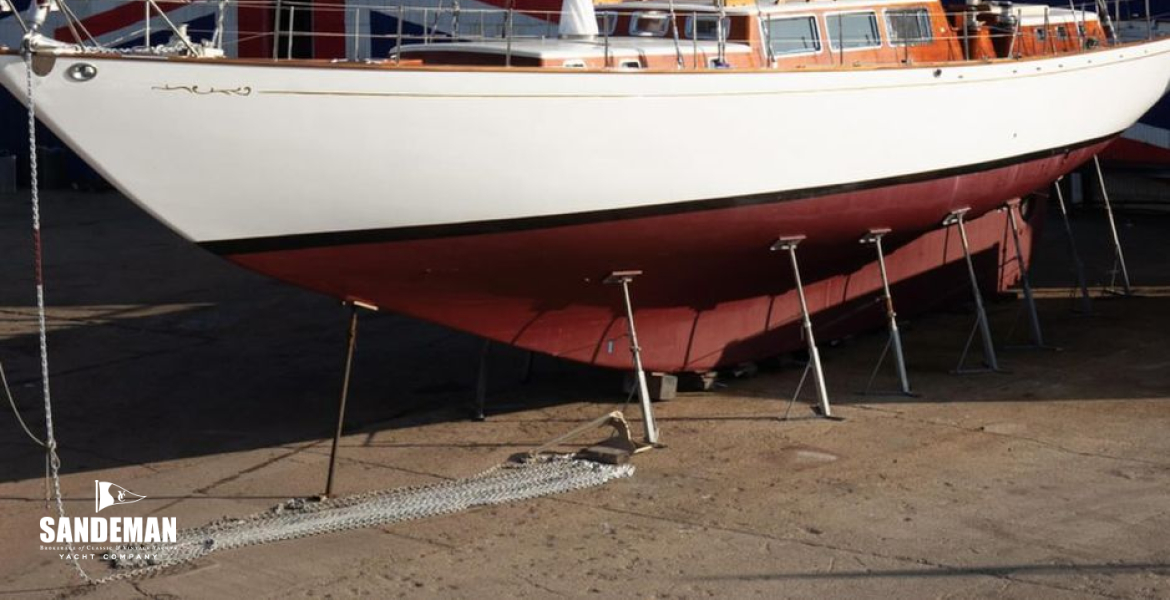 Hauled out [Photo: Ben Wood/ Island Images]