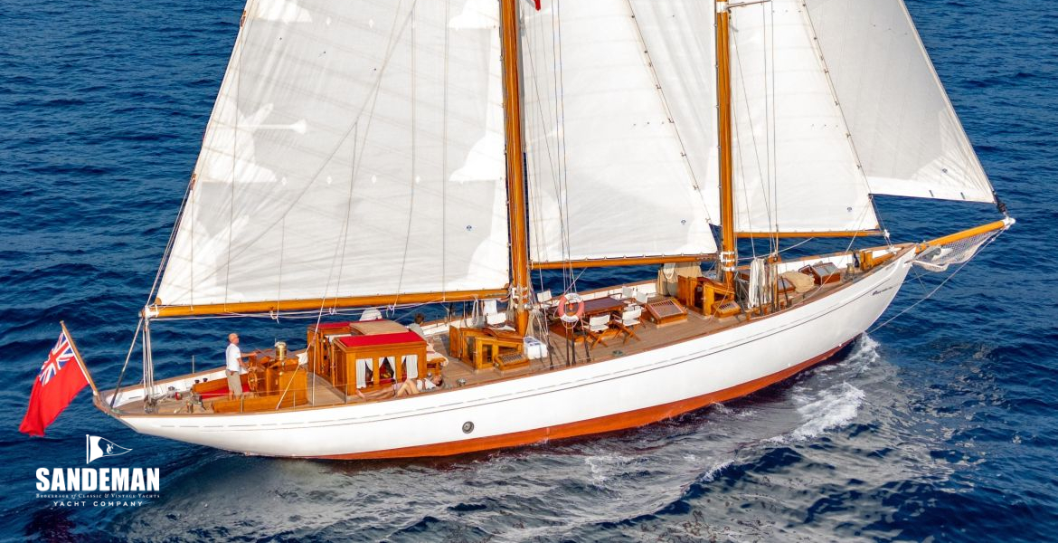 [Photo: Francesco Rastrelli/ Blue Passion]