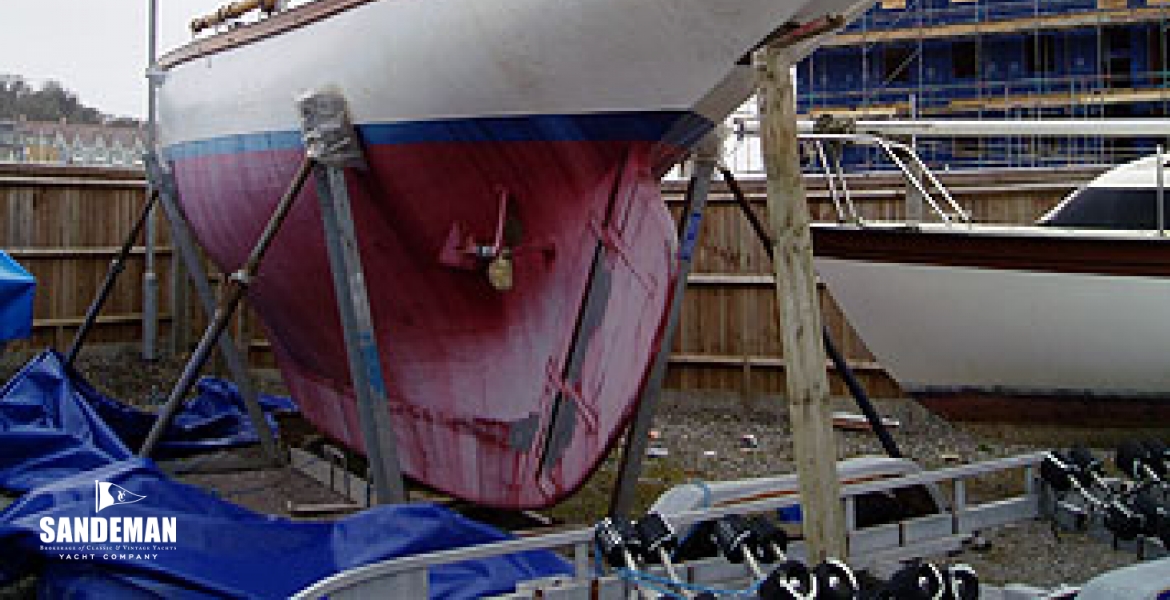 P1010213.jpg