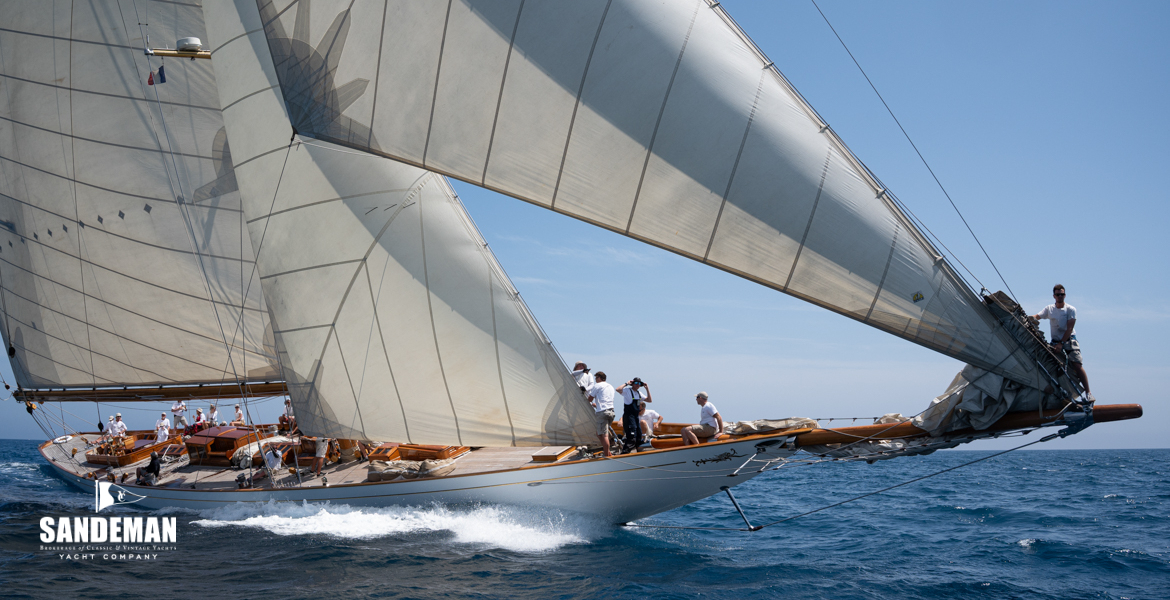 With a bone in her teeth [Photo: James Robinson Taylor]