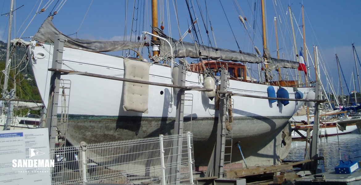 P1010567.JPG