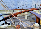 Tiller and helm thwart