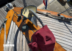 Stemhead details