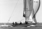 1995 8mR World Cup Medemblik [Photo: John Lammerts van Bueren]